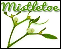 How to Draw the Mistletoe Pattern