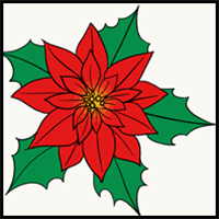 How to Draw a Poinsettia