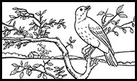 how to draw a bird in a tree