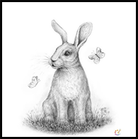 How to Draw Rabbit Step by Step – For Kids & Beginners