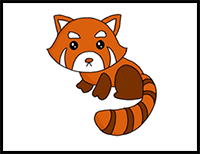 How to Draw a Red Panda Easy