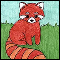 Easy How to Draw a Red Panda Tutorial and Red Panda Coloring Page