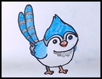 How to Draw Blue Jay Bird (simple) - Step by Step Tutorial
