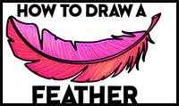 How to Draw a Bird Feather Step by Step