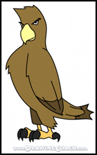 How to Draw a Cartoon Hawk