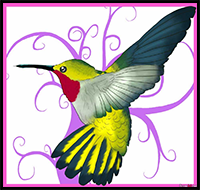 How To Draw A Ruby Throated Hummingbird