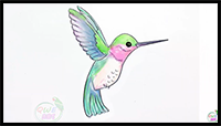 Hummingbird Drawing Easy | How to Draw a Hummingbird