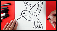 How to Draw a Hummingbird | Hummingbird Easy Draw Tutorial