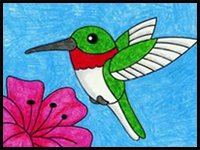 Draw a Hummingbird