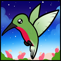 How to Draw a Hummingbird for Kids