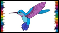How to Draw a Hummingbird Step by Step – Bird Drawing Easy