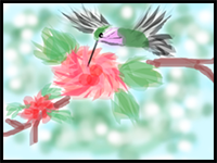 How to Draw Hummingbird