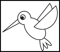 Learn How to Draw a Hummingbird