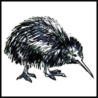How to Draw a Kiwi Bird Tutorial
