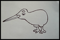 How to Draw Kiwi Bird Easy