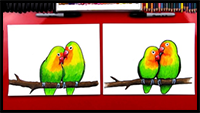 How to Draw Lovebirds