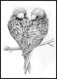 Pencil Drawings of Love Birds