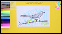 How to Draw Mockingbird - State Bird of Arkansas