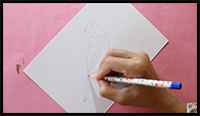 How to Draw a Mockingbird Easy Step by Step