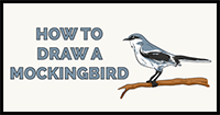 How to Draw a Mockingbird