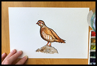 How to Draw a Partridge