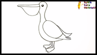 How to Draw a Pelican Step by Step - Pelican Drawing Easy