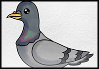 How to Draw a Pigeon