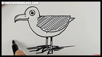 How to Draw a Seagull Real Easy