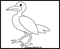 Drawing Seagull