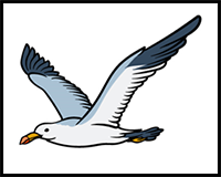 How to Draw a Seagull – a Step by Step Guide