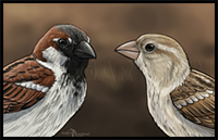 How to Draw Sparrows