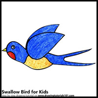 How to Draw a Swallow Bird for Kids