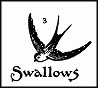 How to Draw a Swallow Step by Step