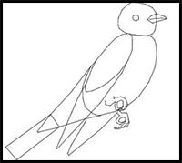 How to Draw Birds Easy Drawing Lessons for Kids