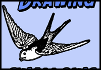 How to Draw Birds : Swallows with Easy Step by Step Drawing Lesson