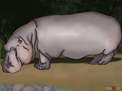How to draw Realistic hippos
