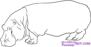 How to draw hippos