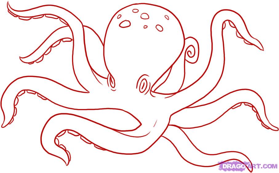 How to Draw Octopus Drawing Tutorials & Drawing & How to Draw Octopus