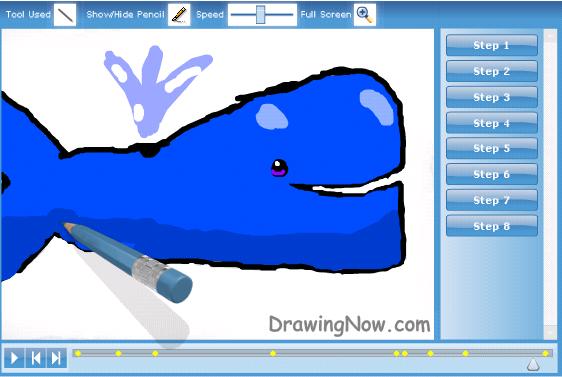 How



  to draw whales