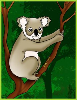 Easy Step by Step Instructions for How to Draw a Koala Bear