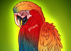 Drawing



  a Parrot in a Pop Art Style