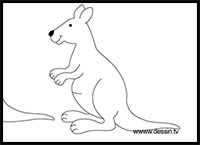 drawing a kangaroo