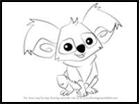 step by step drawing tutorial on how to draw koala from animal jam
