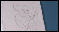 learn how to draw a koala