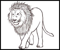 How to Draw a Lion: Step by Step
