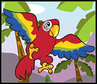 how to draw macaw