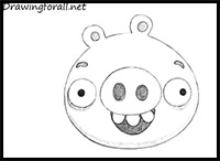 How to Draw Green Pig from Angry Birds