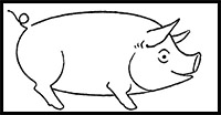 How to Draw Pigs