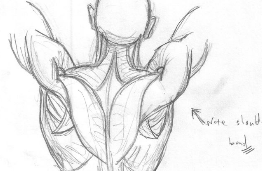 How to Draw Human Backs and Shoulders with Drawing Tutorials and People