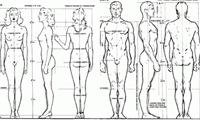 Drawing Human Figures In Correct Proportions
